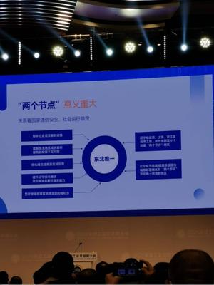 東北唯一！遼寧上線互聯網域名根服務器，兩大節點服務全民上網