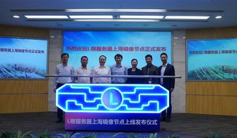 中國(guó)互聯(lián)網(wǎng)迎來新篇章 上海鏡像根服務(wù)器節(jié)點(diǎn)正式上線